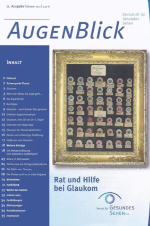 Titelseite AugenBlick_Nr_11 zeigt einen Bilderrahmen mit vielen künstlichen Augen - Rat und Hilfe bei Glaukom