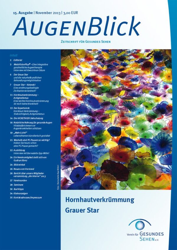 Titelseite Augenblick Nr. 15, Ausgabe November 2013 Buntes Bild: Es scheinen Kaulquappen zu sein in rot, gelb, blau, grün und vielen Farben dazwischen. Hornhautverkrümmung Grauer Star Verein für GESUNDES SEHEN e.V.