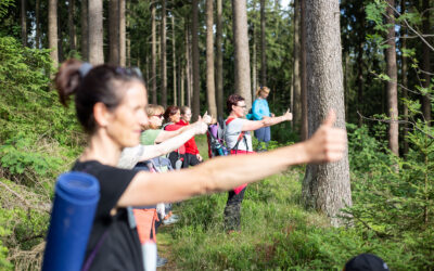 Waldbaden Teil 2 – Übungen