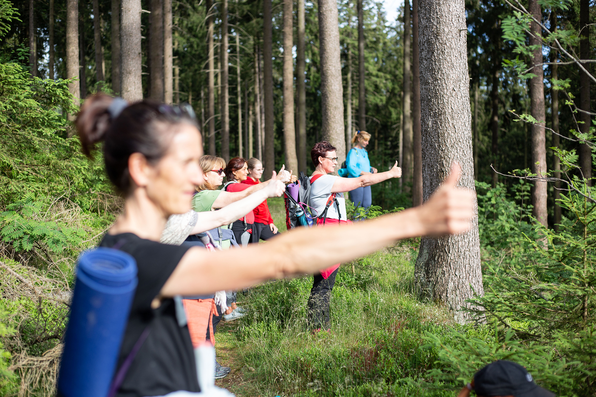Eine Gruppe im Wald beginnt ihr Augentraining: in die Ferne schauen, Farben wahrnehmen, den Blick entspannt schweifen lassen. Natur wird zum einfachen Trainingsraum für frische Augen.