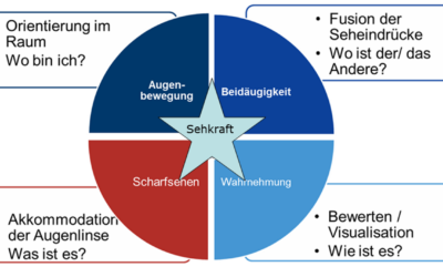 Arthur Marten Skeffington (1890 – 1976) – Die Entwicklung des Sehens nach Skeffington