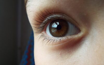 Was deine Augen nicht sehen – und das Morphische Feld trotzdem weiß